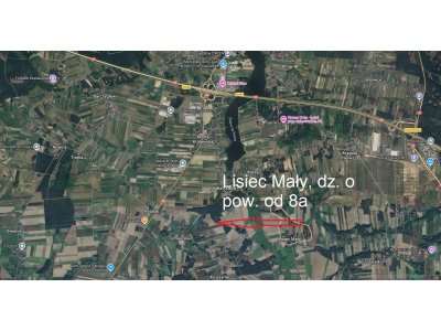 Sprzedam działki budowlane – Lisiec Mały, gm. Stare Miasto