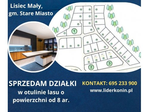 Sprzedam działki budowlane – Lisiec Mały, gm. Stare Miasto